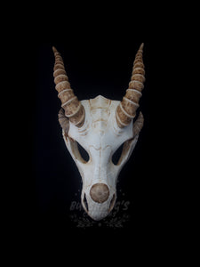 Dragon Skull Mask - Full