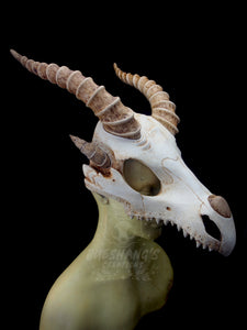 Dragon Skull Mask - Half