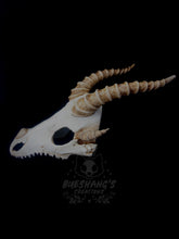 Load image into Gallery viewer, Dragon Skull Mask - Half