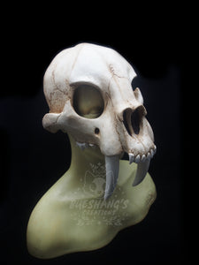 Sabertooth Skull Mask - Half