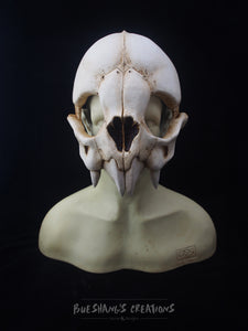 Vampire Bat Skull Mask - Half