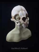 Load image into Gallery viewer, Vampire Bat Skull Mask - Half