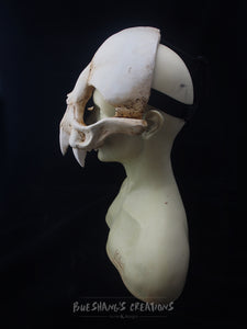 Vampire Bat Skull Mask - Half