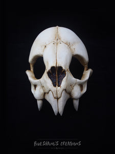 Vampire Bat Skull Mask - Half