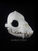 Load image into Gallery viewer, Hyena Skull Mask - Full - Unpainted Blank