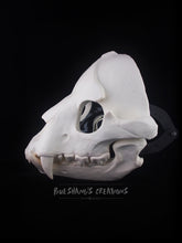 Load image into Gallery viewer, Bear Skull Mask - Full - Unpainted Blank