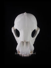 Load image into Gallery viewer, Bear Skull Mask - Full - Unpainted Blank