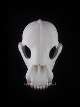 Load image into Gallery viewer, Hyena Skull Mask - Full - Unpainted Blank