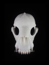 Load image into Gallery viewer, Bear Skull Mask - Half- Unpainted Blank