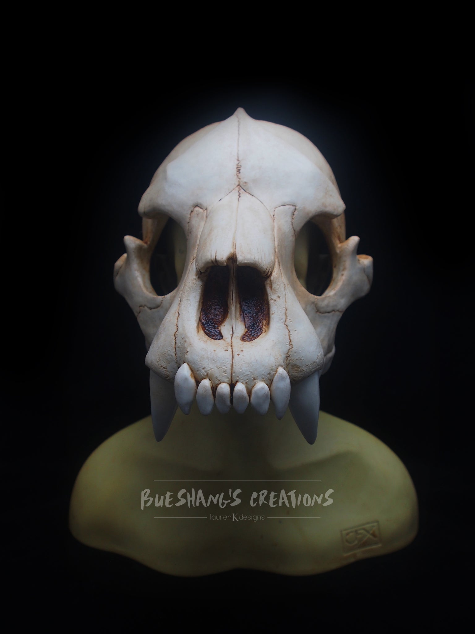 Bear skull mask full fase Realistic Replica, bear skull, hal