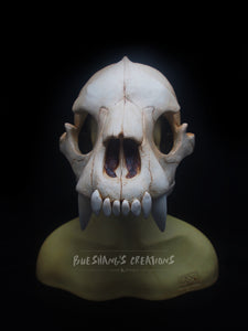 Bear Skull Mask - Half