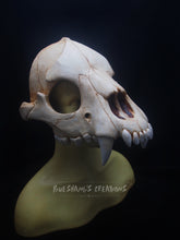 Load image into Gallery viewer, Bear Skull Mask - Half