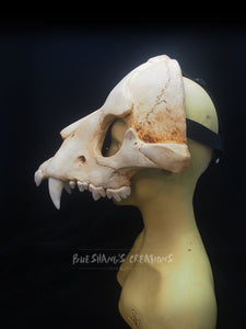 Bear Skull Mask - Half
