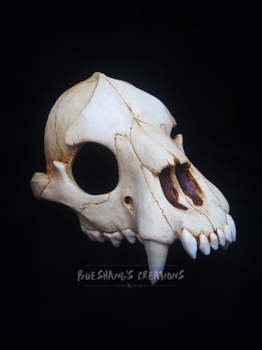 Hyena Skull Mask - Half