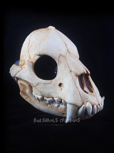 Hyena Skull Mask - Full