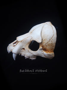 Bear Skull Mask - Half