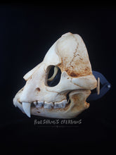 Load image into Gallery viewer, Bear Skull Mask - Full