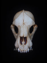 Load image into Gallery viewer, Bear Skull Mask - Half