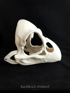 Bird Skull Mask - Unpainted Blank