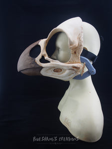 Bird Skull Mask