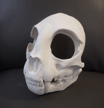 Load image into Gallery viewer, Cat Skull Mask - Full - Unpainted Blank
