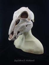 Load image into Gallery viewer, Deer Skull Mask