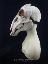 Load image into Gallery viewer, Deer Skull Mask