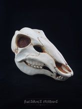 Load image into Gallery viewer, Deer Skull Mask