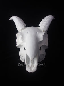 Goat Skull Mask - Half - Unpainted Blank