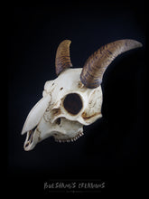 Load image into Gallery viewer, Goat Skull Mask - Half