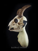 Load image into Gallery viewer, Goat Skull Mask - Full