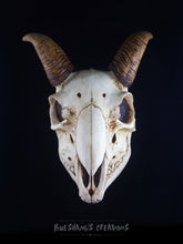 Load image into Gallery viewer, Goat Skull Mask - Full