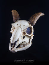 Load image into Gallery viewer, Goat Skull Mask - Full