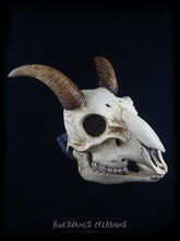 Load image into Gallery viewer, Goat Skull Mask - Full