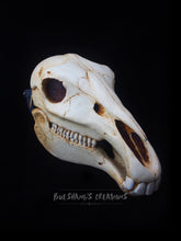 Load image into Gallery viewer, Horse Skull Mask - Full