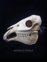 Load image into Gallery viewer, Horse Skull Mask - Full