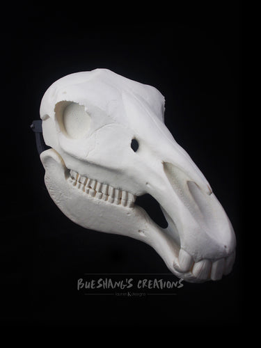 Horse Skull Mask - Full - Unpainted Blank