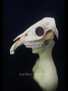 Horse Skull Mask - Half