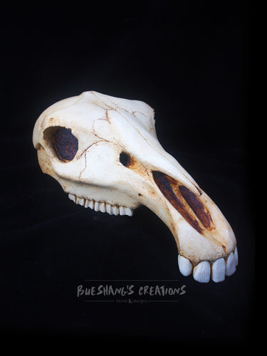 Horse Skull Mask - Half