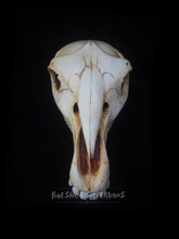 Load image into Gallery viewer, Horse Skull Mask - Half