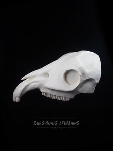 Horse Skull Mask - Half - Unpainted Blank