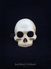 Load image into Gallery viewer, Human Skull Mask - Half