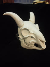 Load image into Gallery viewer, Goat Skull Mask - Full - Unpaintd Blank