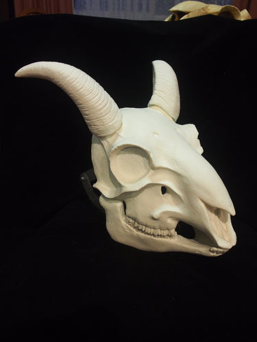 Goat Skull Mask - Full - Unpaintd Blank