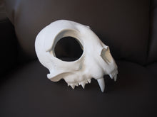 Load image into Gallery viewer, Cat Skull Mask - Half - Unpainted Blank