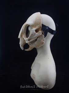 Rodent Skull Mask