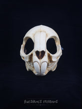Load image into Gallery viewer, Rodent Skull Mask