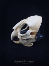 Load image into Gallery viewer, Rodent Skull Mask