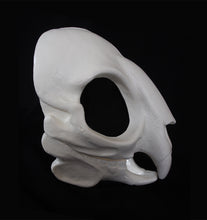 Load image into Gallery viewer, Rodent Skull Mask - Unpainted Blank