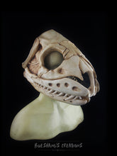 Load image into Gallery viewer, Snake Skull Mask - Full